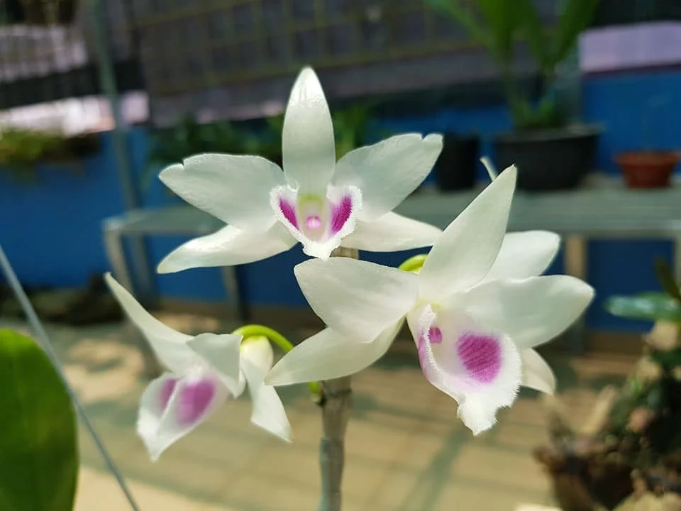 5CT Hà Đông