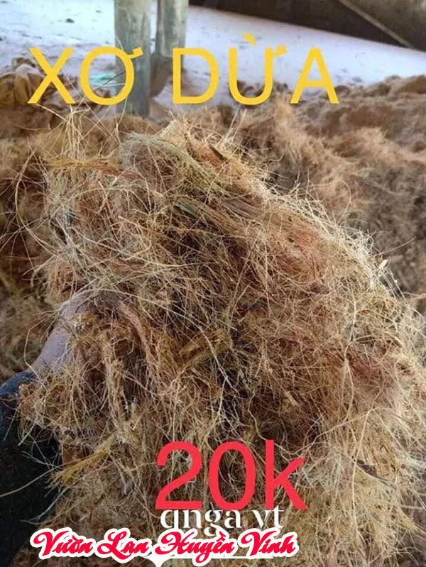 Xơ dừa dạng sợi.