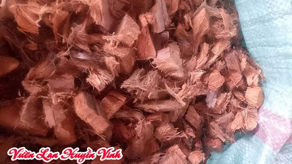 xơ dừa chuyên trồng lan
